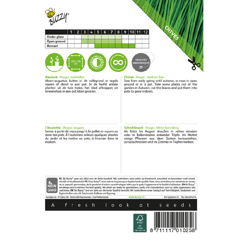 Buzzy - Bieslook zaden | 3 gram