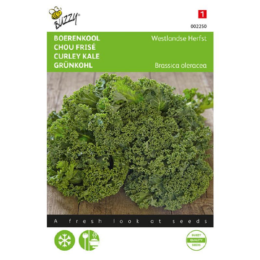 Buzzy - Boerenkool zaden Westlandse Herfst | 3 gram