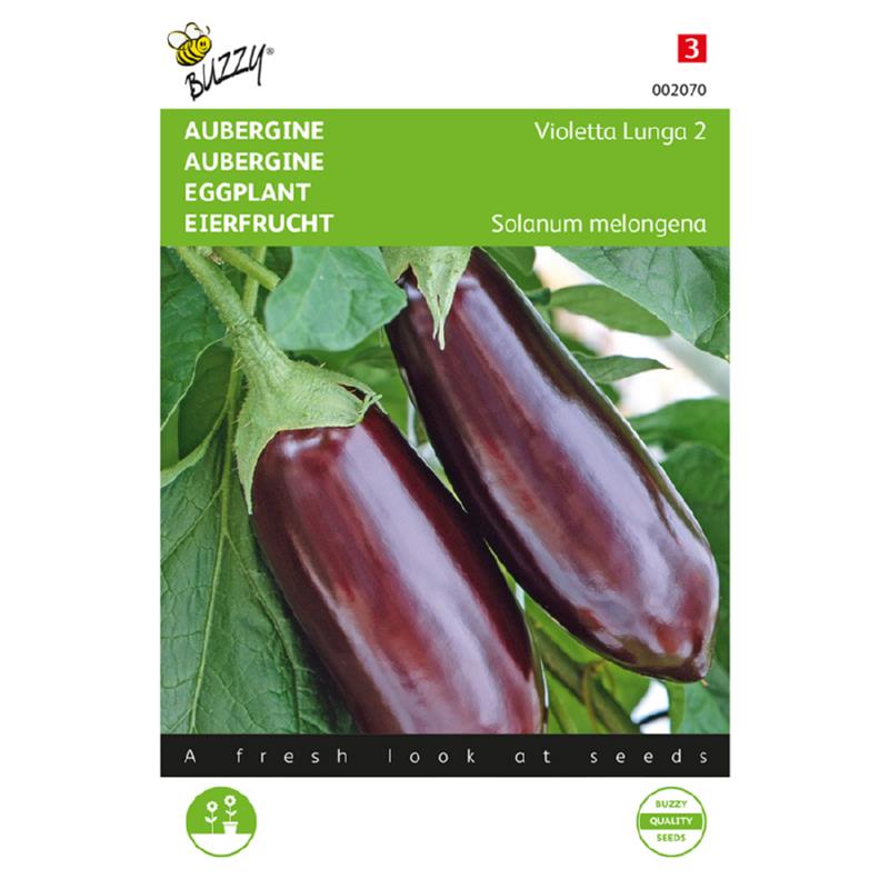 Buzzy - Aubergine zaden Violetta Lunga 2 | 2 gram