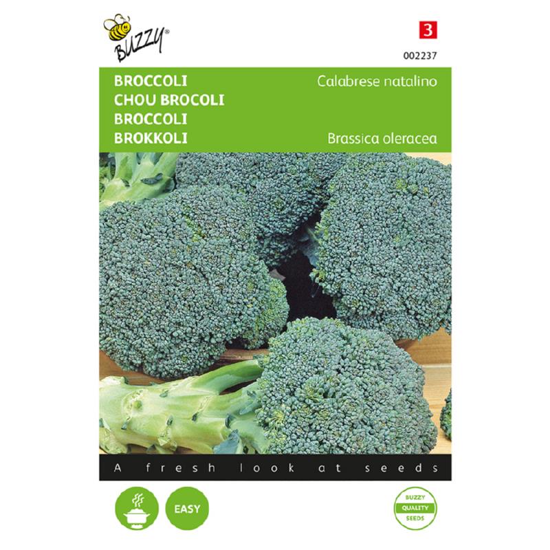 Buzzy - Broccoli zaden Calabrese Natalino | 1 gram