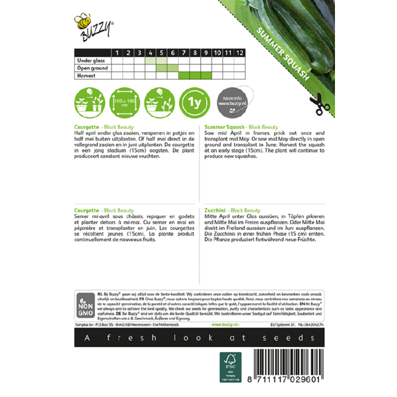 Buzzy - Courgette zaden Verte de Milan Black Beauty | 5 gram