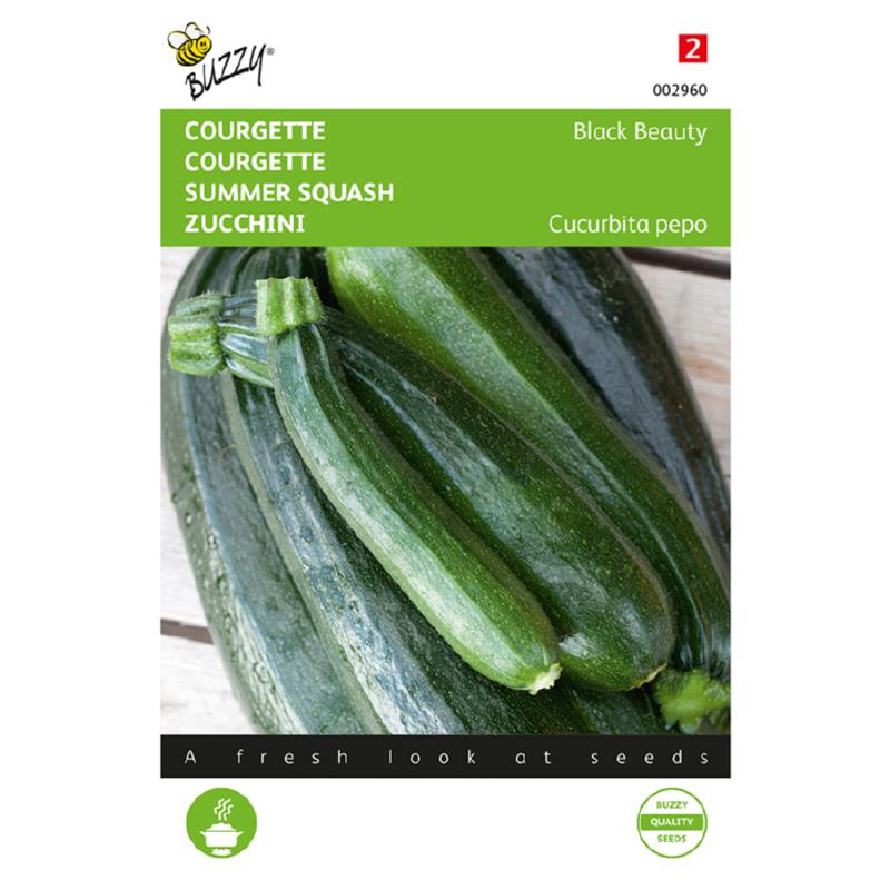 Buzzy - Courgette zaden Verte de Milan Black Beauty | 5 gram