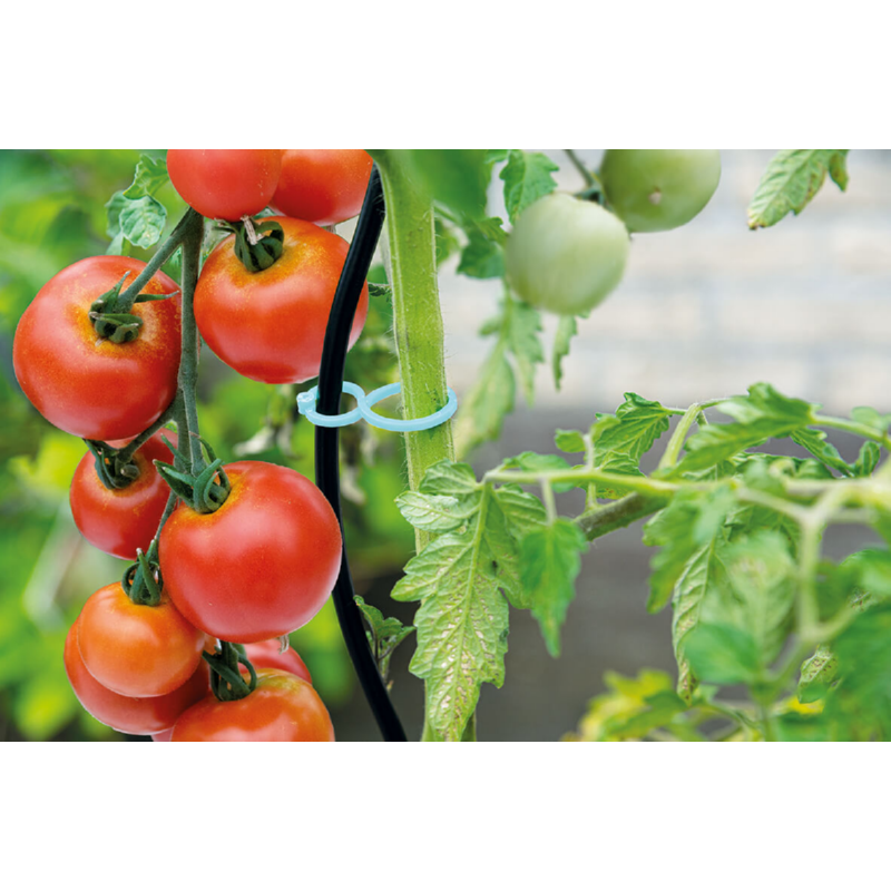 Sogo - Tomaten clips | 15 stuks